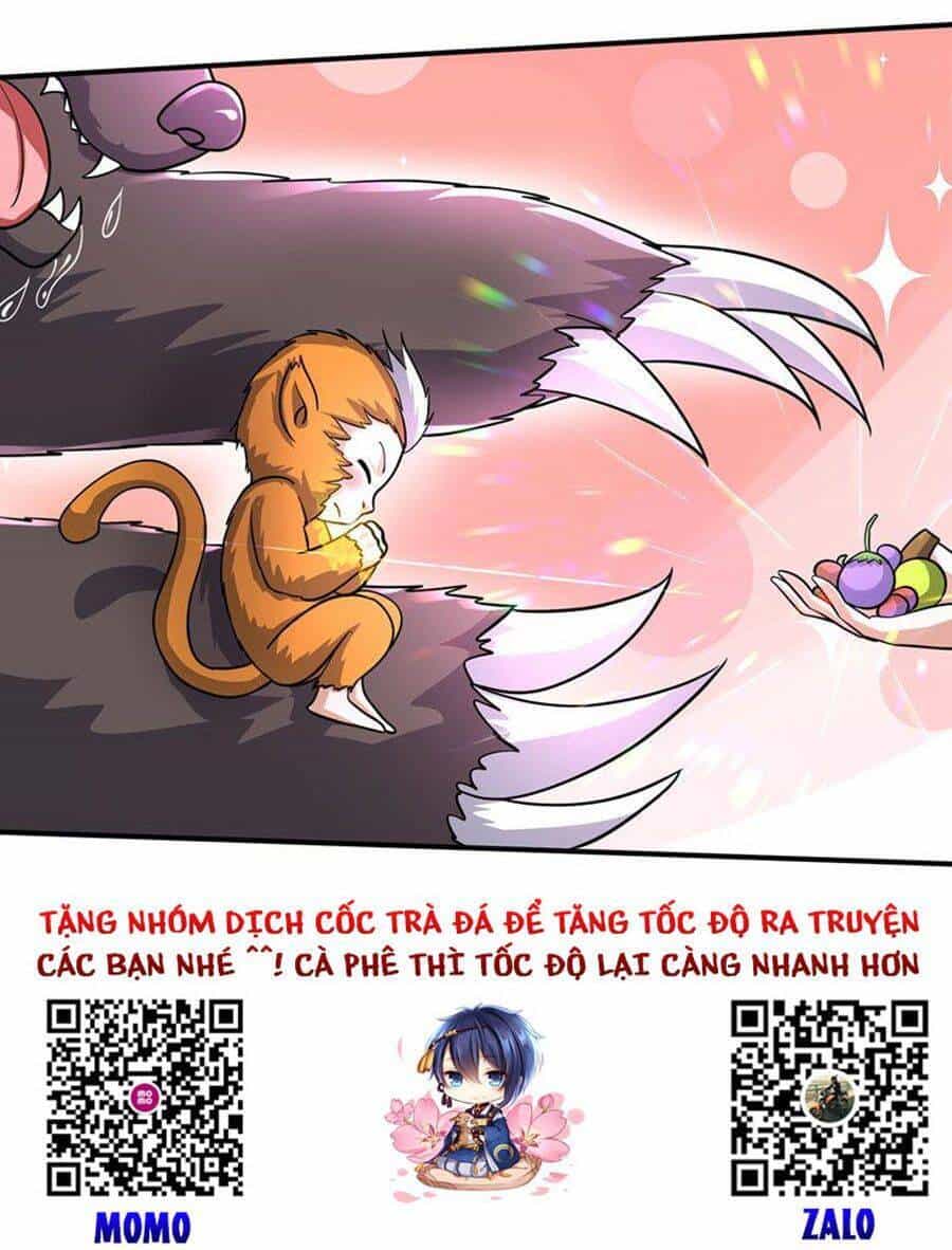 Siêu Cấp Thần Y Tại Đô Thị - Chương 268 - ảnh 40