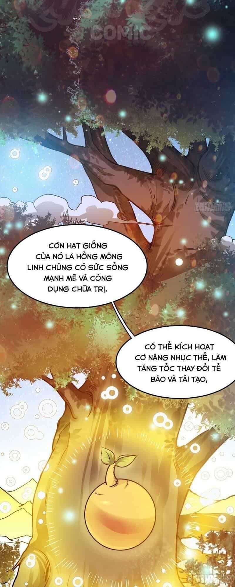 Siêu Cấp Thần Y Tại Đô Thị - Chương 63 - ảnh 8