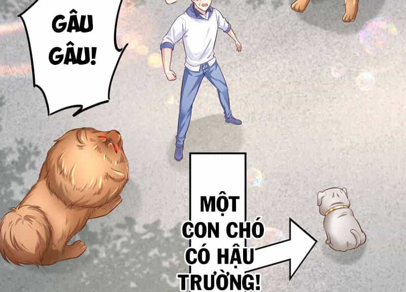 Siêu Năng Bất Lương Học Bá - Chương 7 - ảnh 51