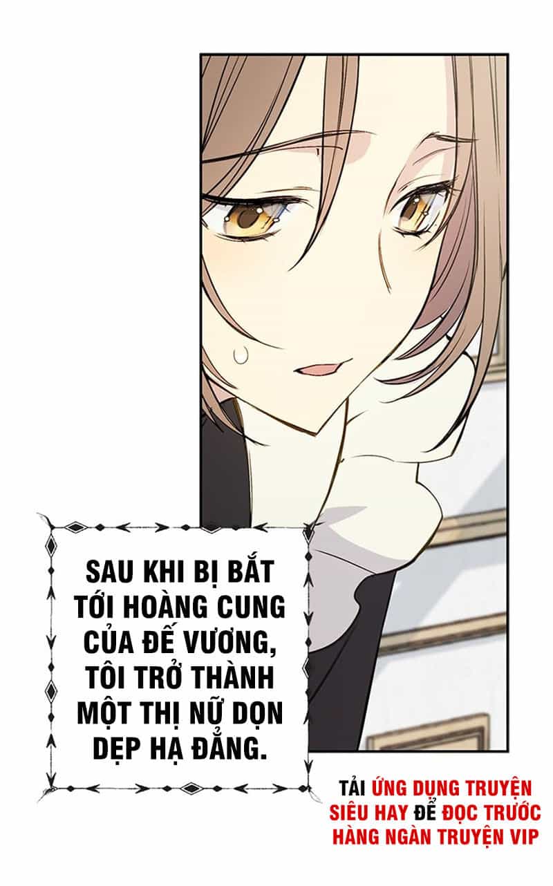 Siêu Năng Lực Của Thị Nữ - Chương 1 - ảnh 12