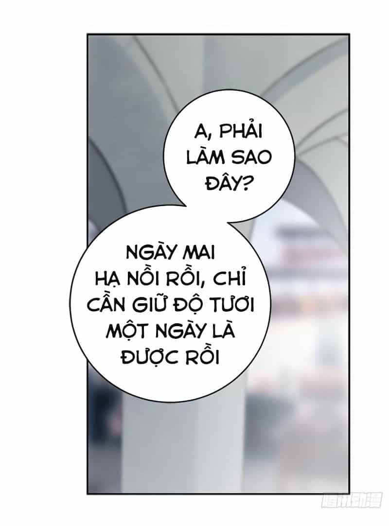 Siêu Năng Lực Của Thị Nữ - Chương 12 - ảnh 35
