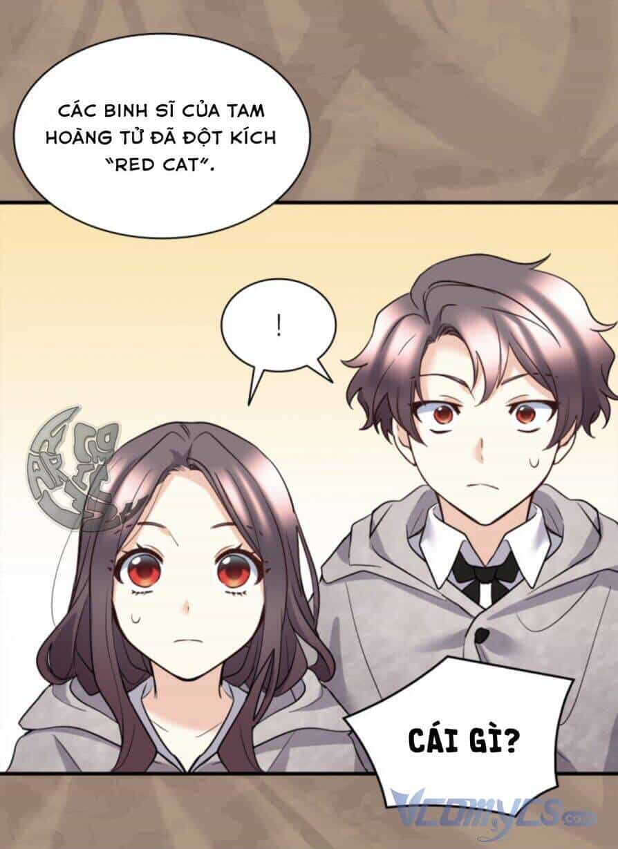Sinh Đôi Xuyên Không - Chương 113 - ảnh 15