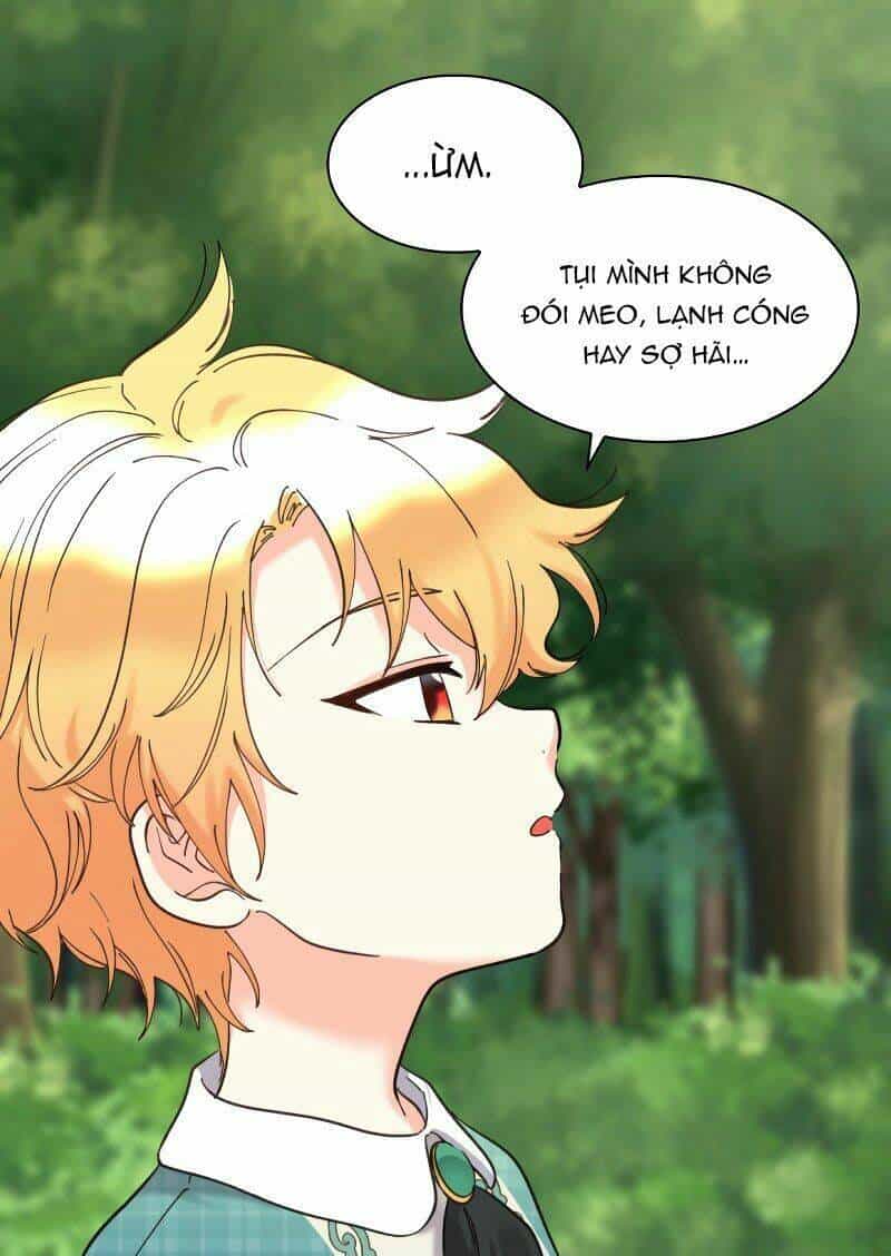 Sinh Đôi Xuyên Không - Chương 65 - ảnh 33