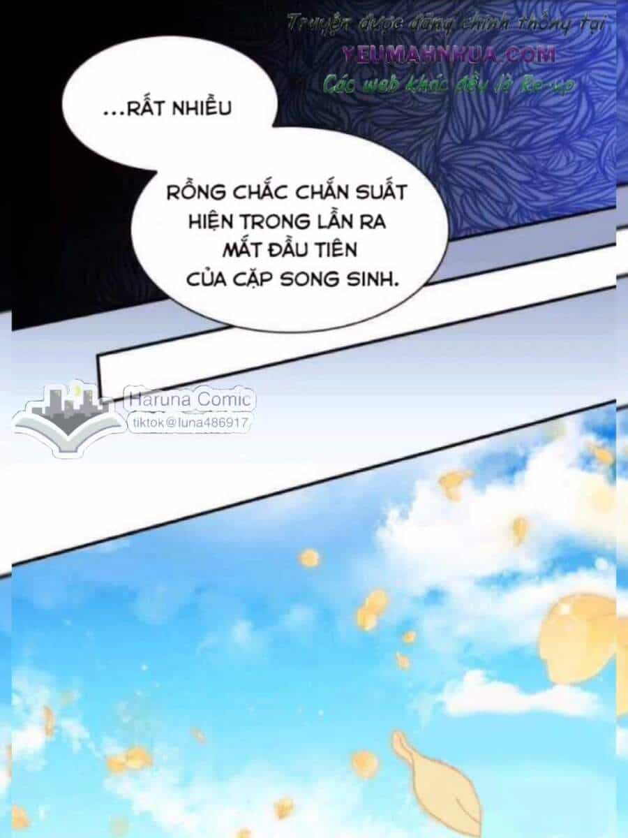 Sinh Đôi Xuyên Không - Chương 83 - ảnh 13