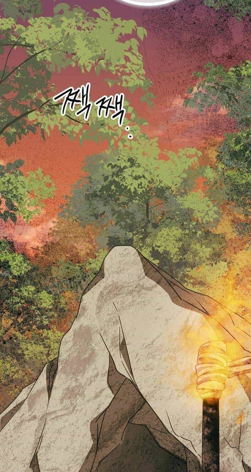 Sinh Tồn Trong Cuốn Tiểu Thuyết Romance Fantasy - Chương 10 - ảnh 33