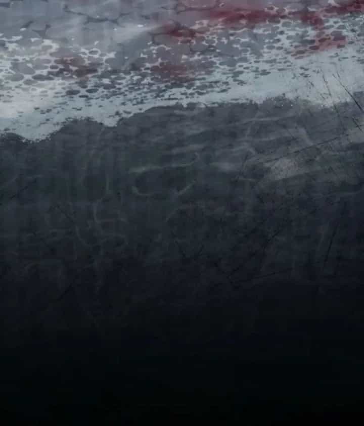 Sinh Tồn Với Tư Cách Là Một Huyết Vương - Chương 54 - ảnh 188