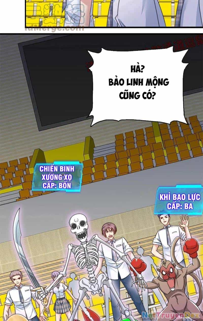Slime Ta Treo Cự Long Lên Đánh Là Hợp Lý Nhỉ? - Chương 1 - ảnh 39