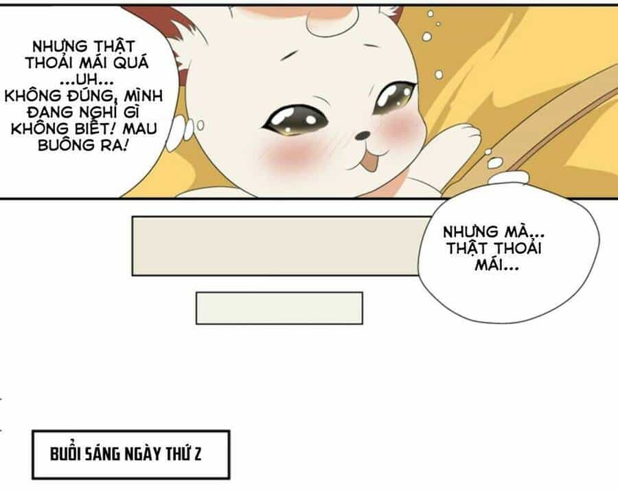 Sổ Tay Nuôi Dưỡng Thần Tượng, Lên Đường Thôi! - Chương 3 - ảnh 12