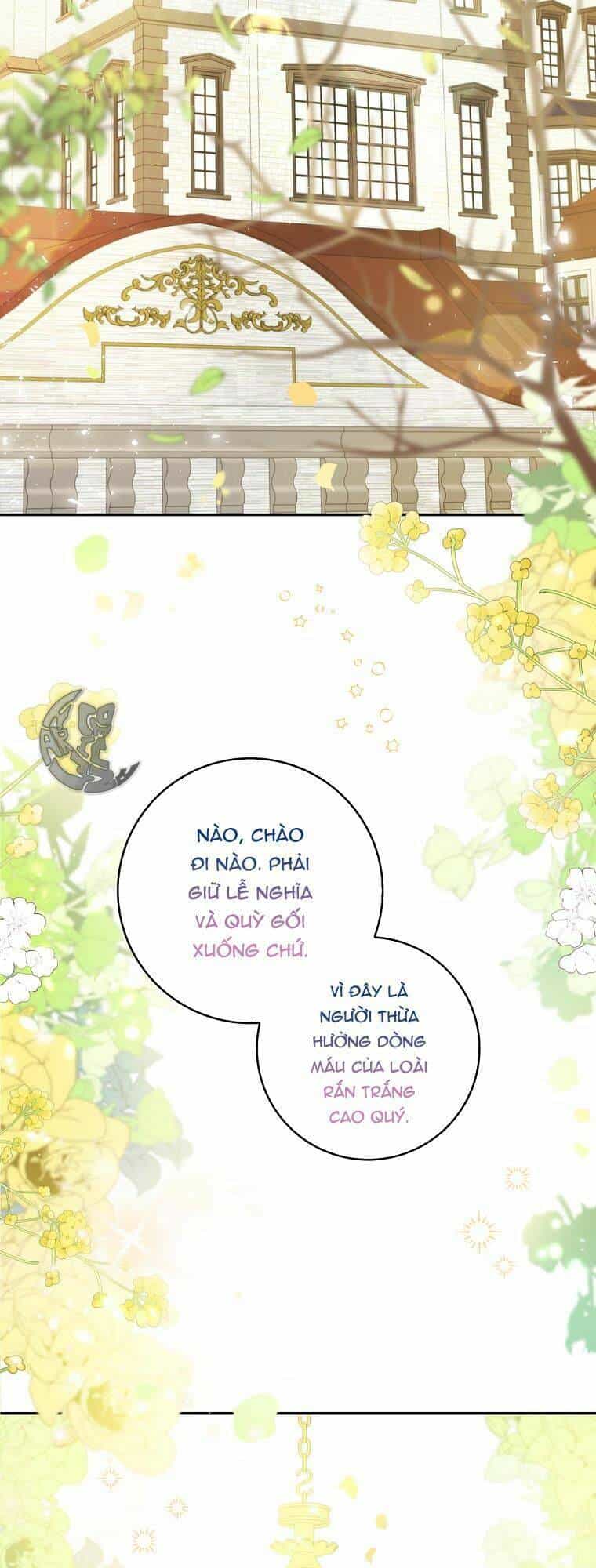 Sóc Nhỏ Tài Năng - Chương 1 - ảnh 3
