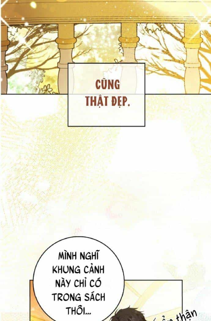 Sóc Nhỏ Tài Năng - Chương 10 - ảnh 74