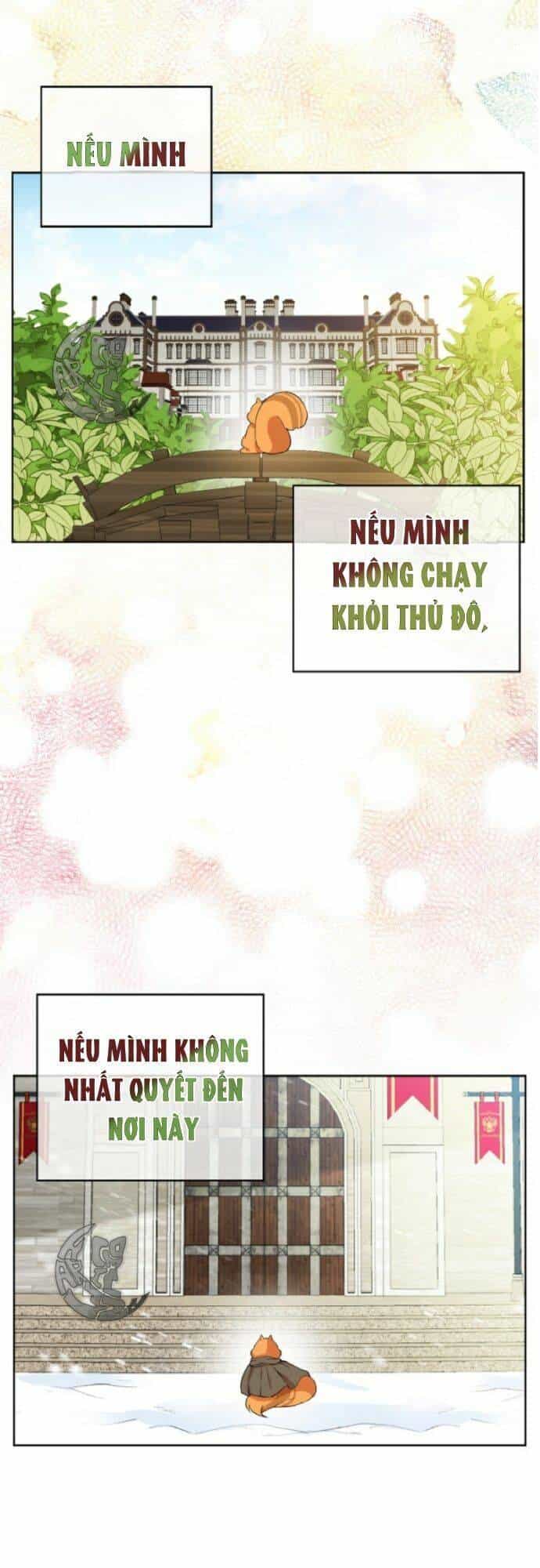 Sóc Nhỏ Tài Năng - Chương 10 - ảnh 76