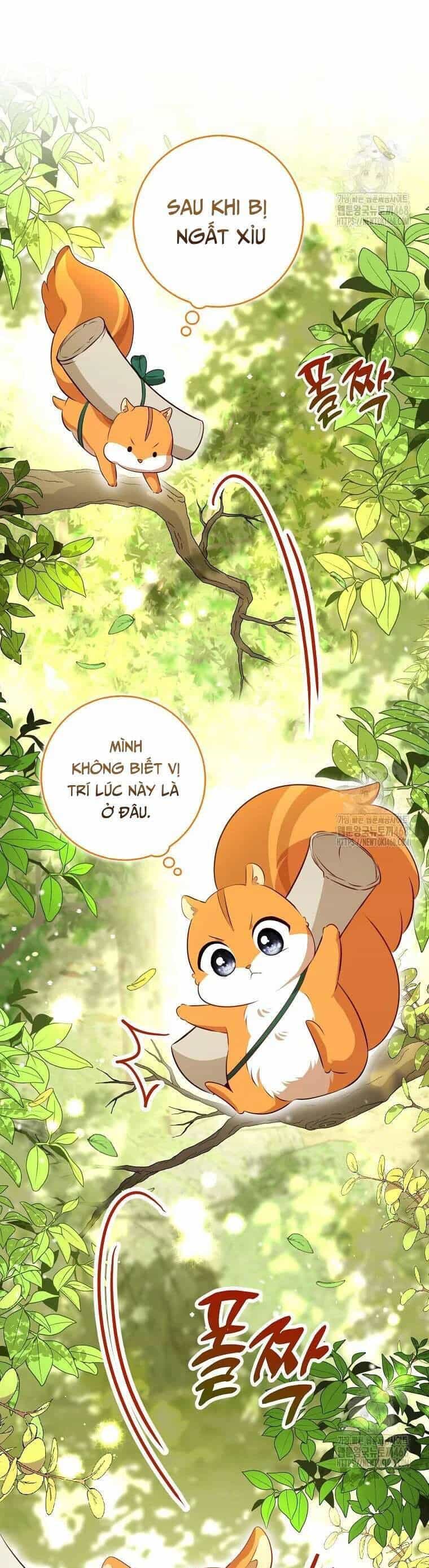 Sóc Nhỏ Tài Năng - Chương 106 - ảnh 5
