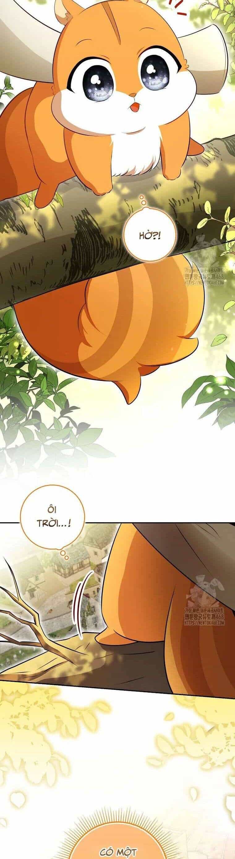 Sóc Nhỏ Tài Năng - Chương 106 - ảnh 6