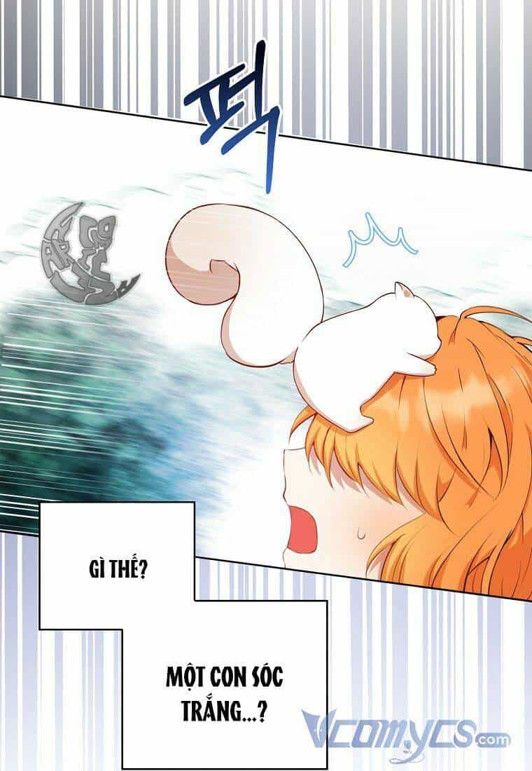 Sóc Nhỏ Tài Năng - Chương 12 - ảnh 111
