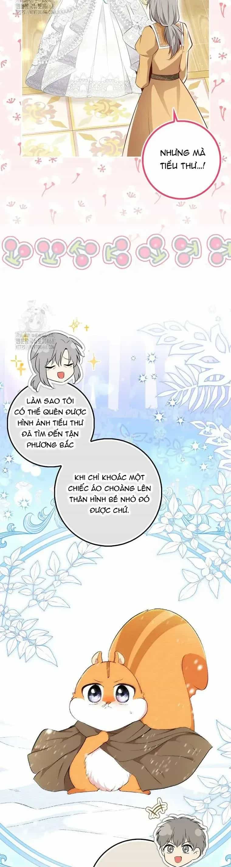 Sóc Nhỏ Tài Năng - Chương 120 - ảnh 9