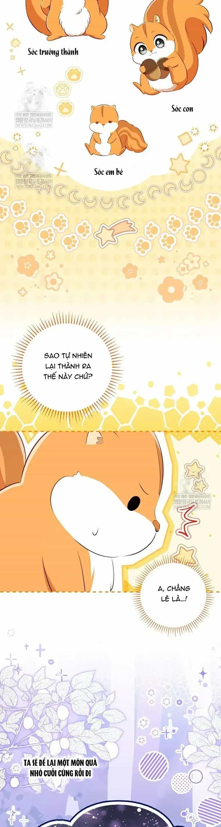 Sóc Nhỏ Tài Năng - Chương 123 - ảnh 3