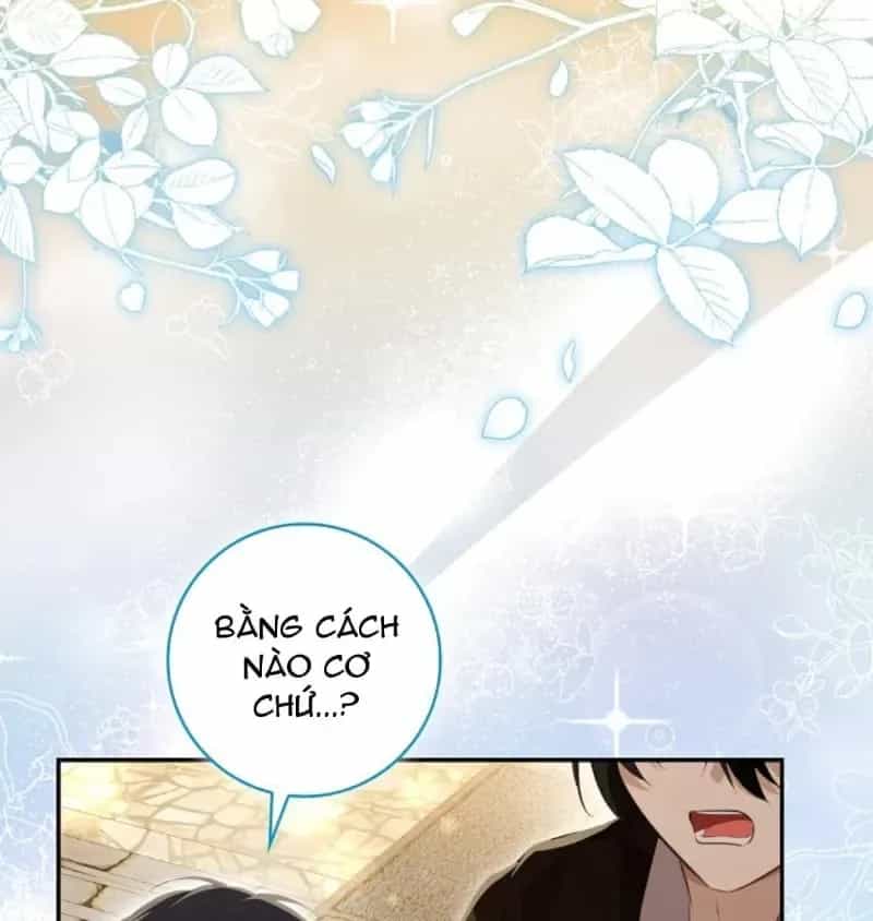 Sóc Nhỏ Tài Năng - Chương 133 - ảnh 32