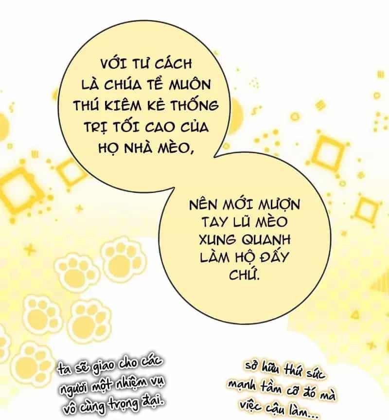 Sóc Nhỏ Tài Năng - Chương 133 - ảnh 51