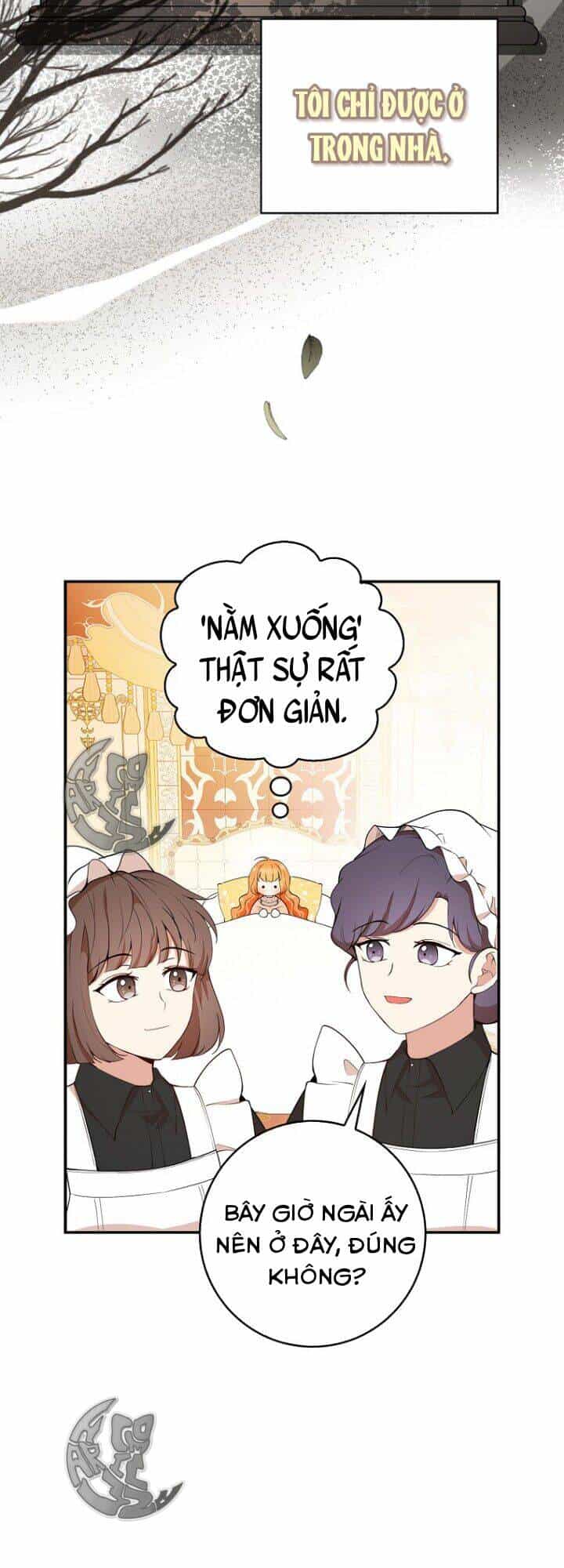 Sóc Nhỏ Tài Năng - Chương 17 - ảnh 23