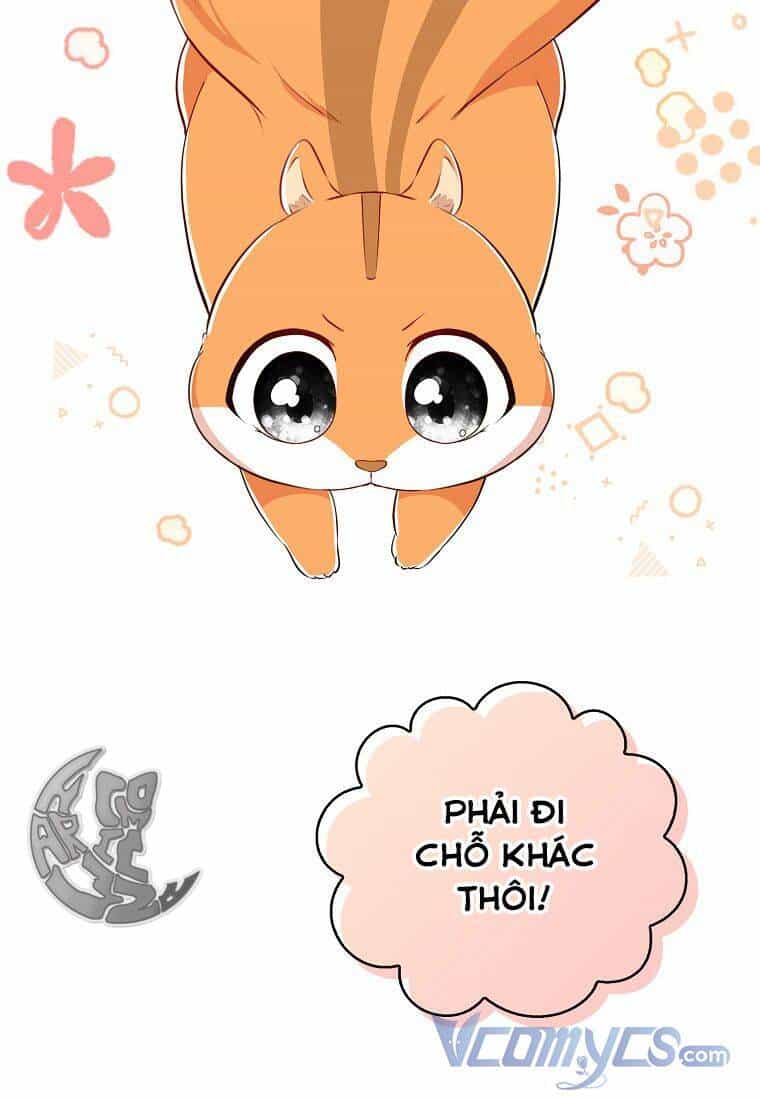 Sóc Nhỏ Tài Năng - Chương 22 - ảnh 64