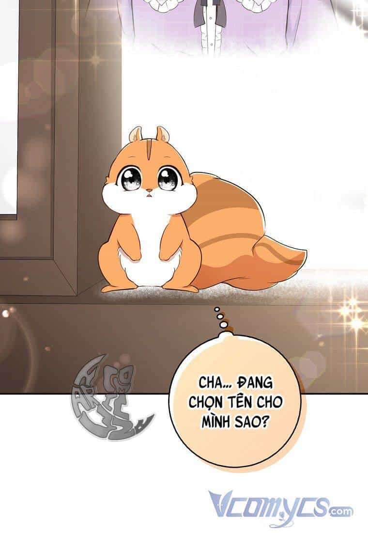 Sóc Nhỏ Tài Năng - Chương 22 - ảnh 93