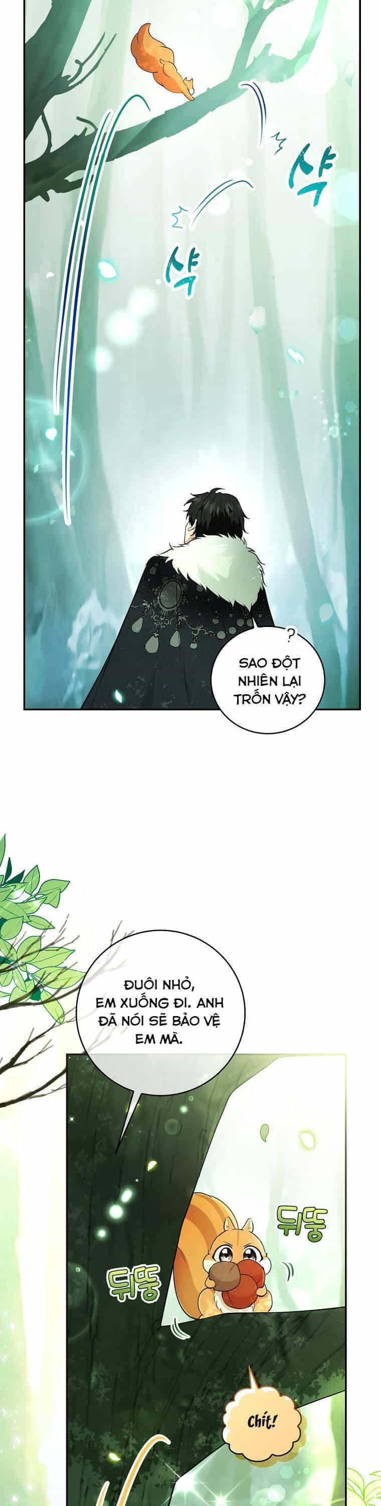 Sóc Nhỏ Tài Năng - Chương 29 - ảnh 18