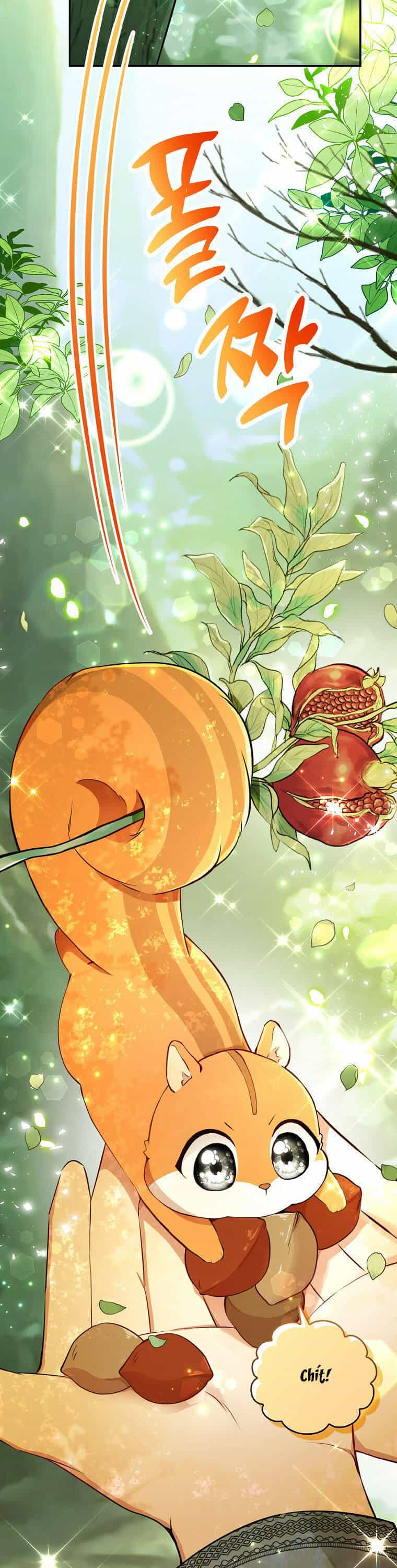 Sóc Nhỏ Tài Năng - Chương 29 - ảnh 19