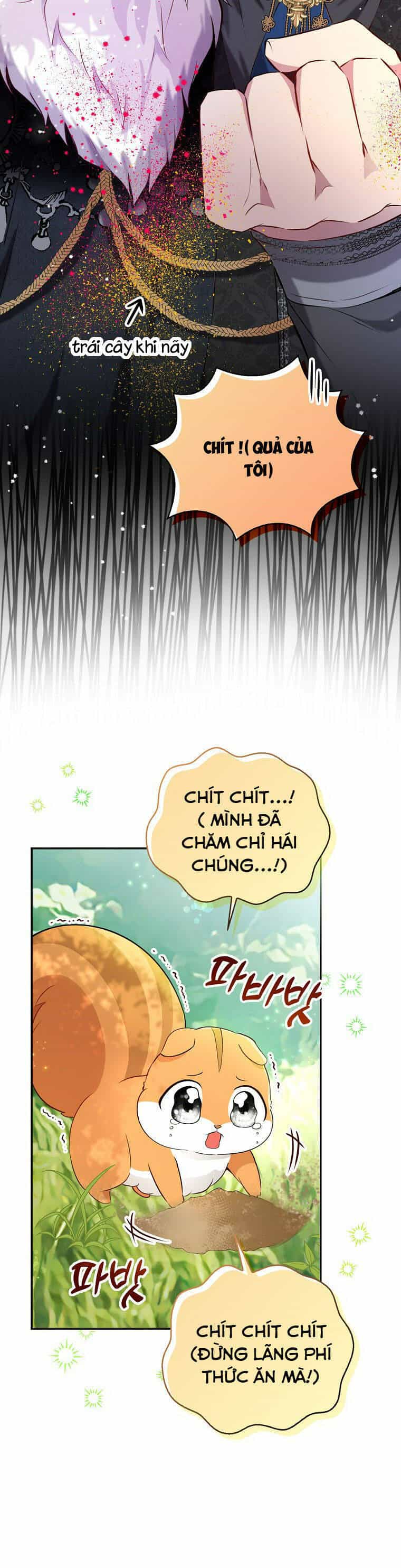 Sóc Nhỏ Tài Năng - Chương 29 - ảnh 28