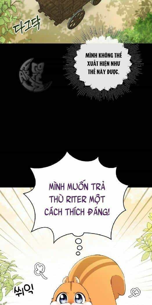 Sóc Nhỏ Tài Năng - Chương 3 - ảnh 14