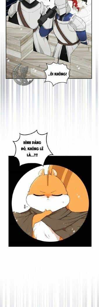 Sóc Nhỏ Tài Năng - Chương 3 - ảnh 35