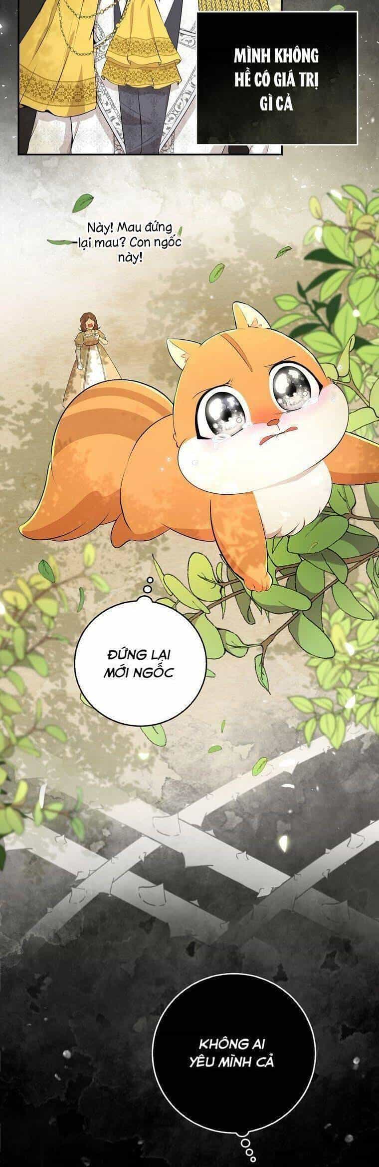 Sóc Nhỏ Tài Năng - Chương 36 - ảnh 30