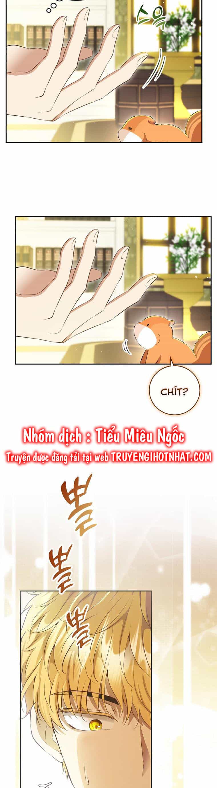 Sóc Nhỏ Tài Năng - Chương 43 - ảnh 24