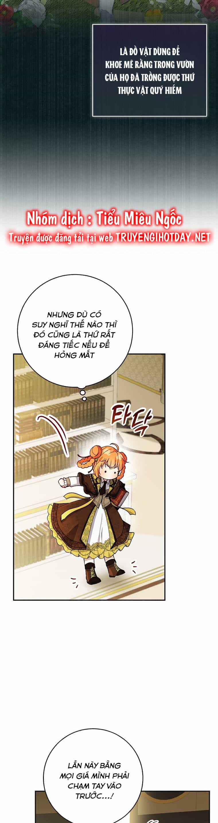 Sóc Nhỏ Tài Năng - Chương 49 - ảnh 7