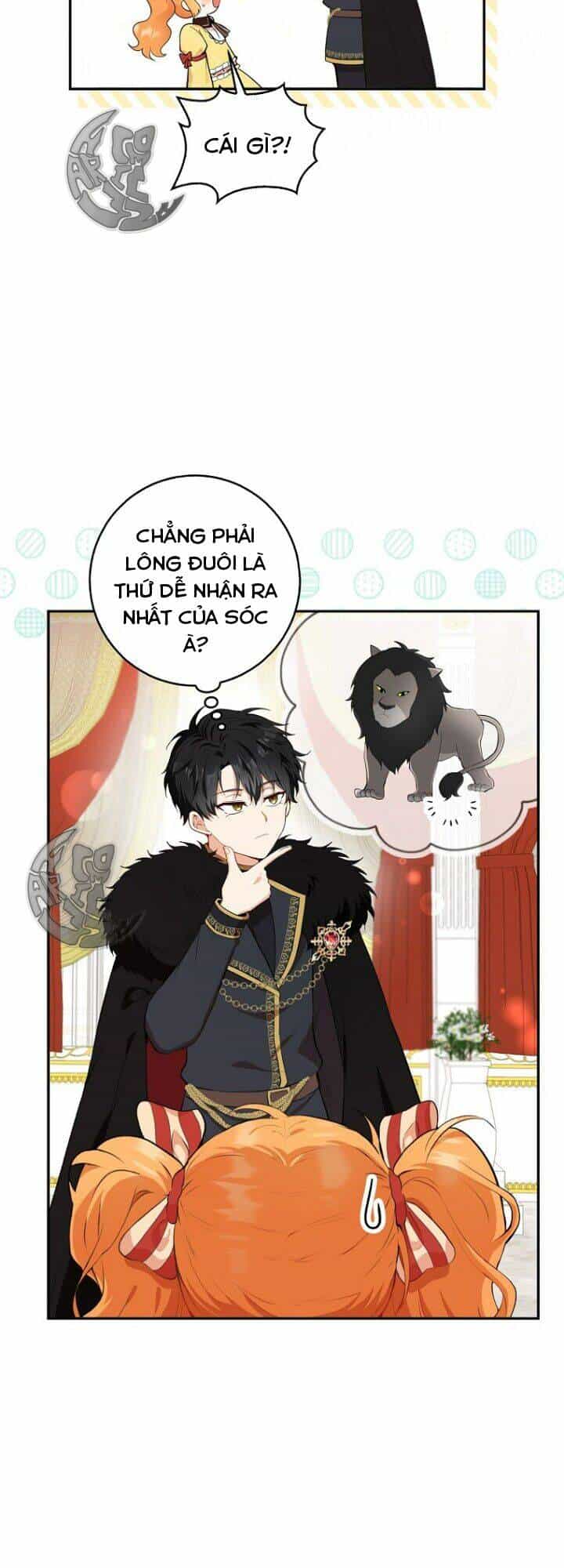 Sóc Nhỏ Tài Năng - Chương 5 - ảnh 12