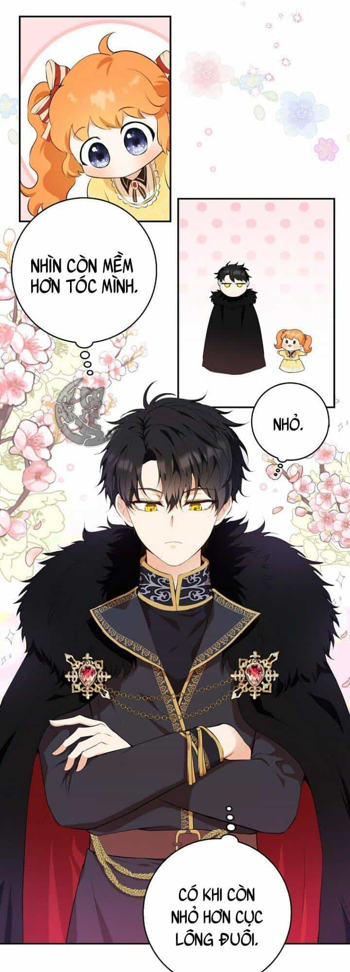 Sóc Nhỏ Tài Năng - Chương 5 - ảnh 34