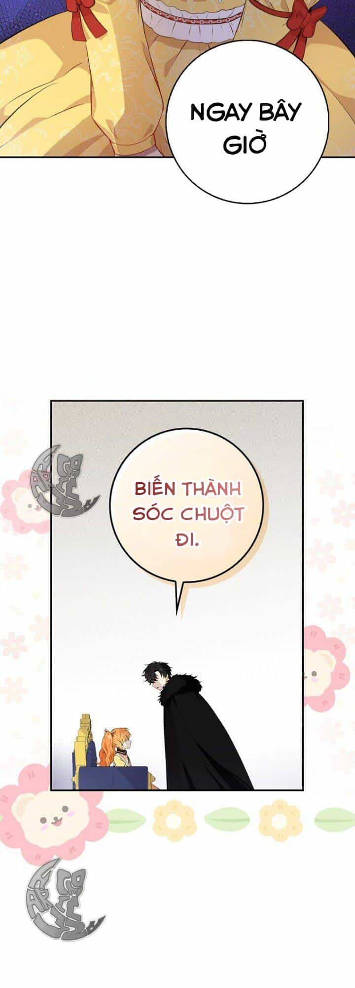 Sóc Nhỏ Tài Năng - Chương 5 - ảnh 39