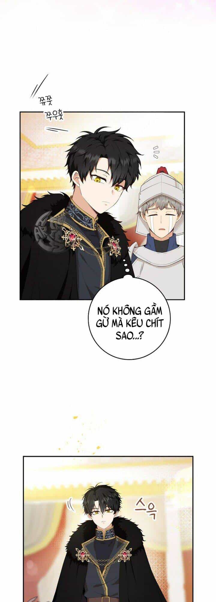 Sóc Nhỏ Tài Năng - Chương 5 - ảnh 65