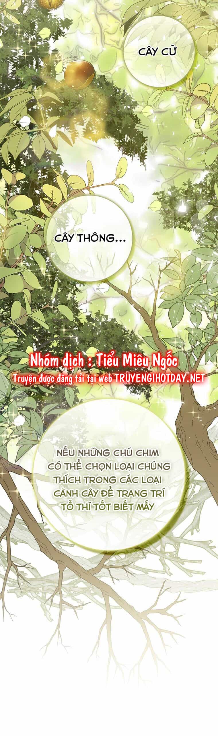 Sóc Nhỏ Tài Năng - Chương 51 - ảnh 17