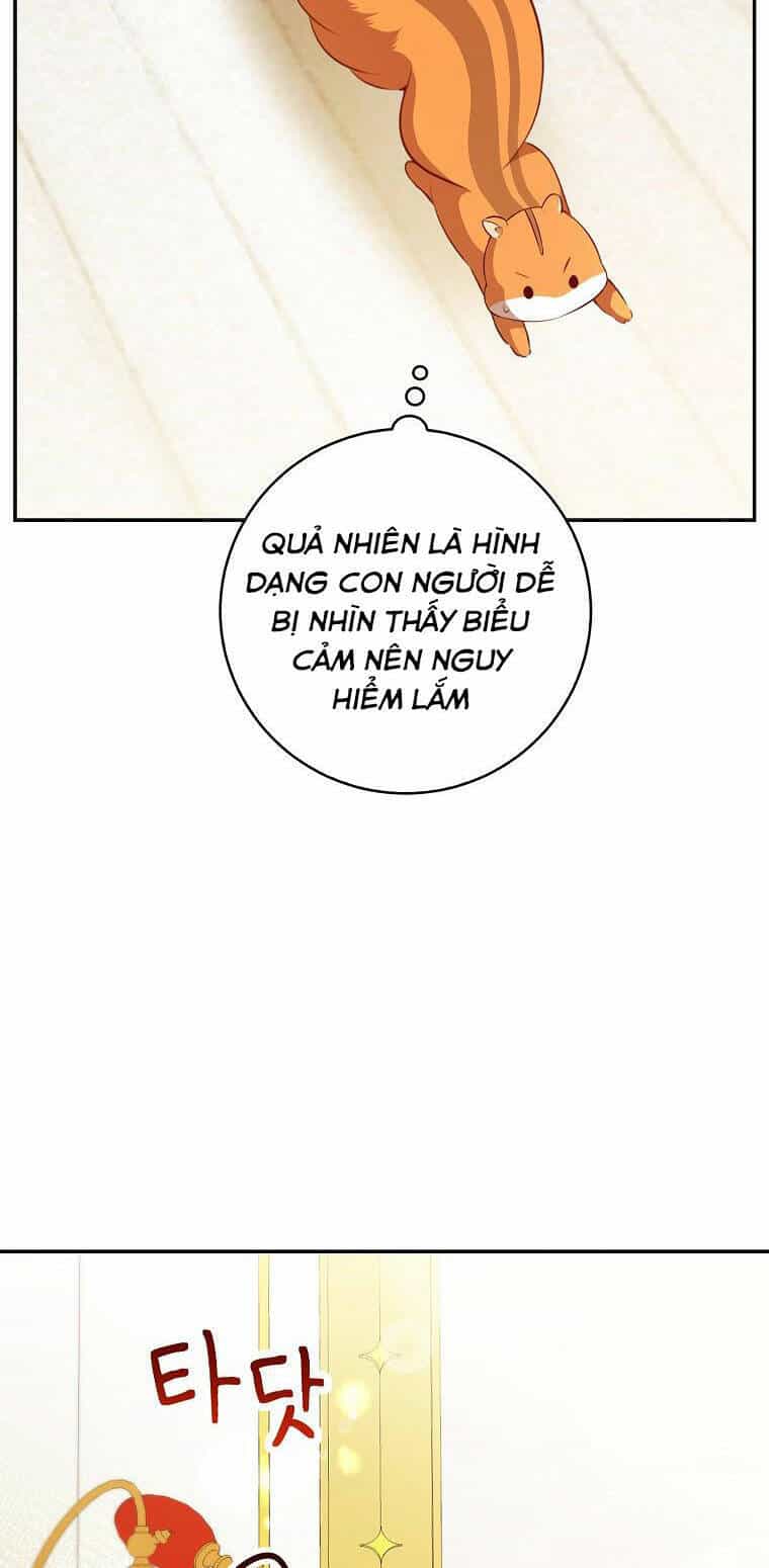 Sóc Nhỏ Tài Năng - Chương 52 - ảnh 28