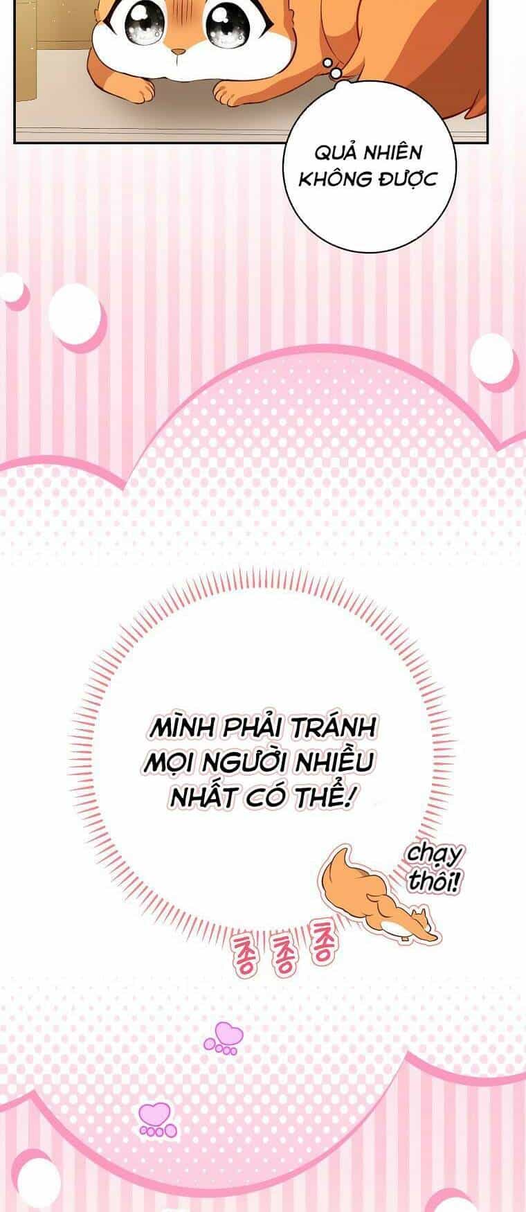 Sóc Nhỏ Tài Năng - Chương 52 - ảnh 38