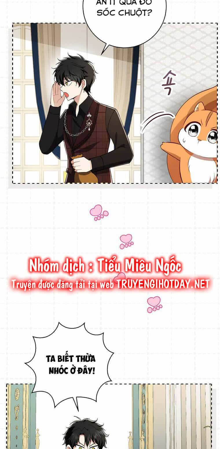 Sóc Nhỏ Tài Năng - Chương 52 - ảnh 40