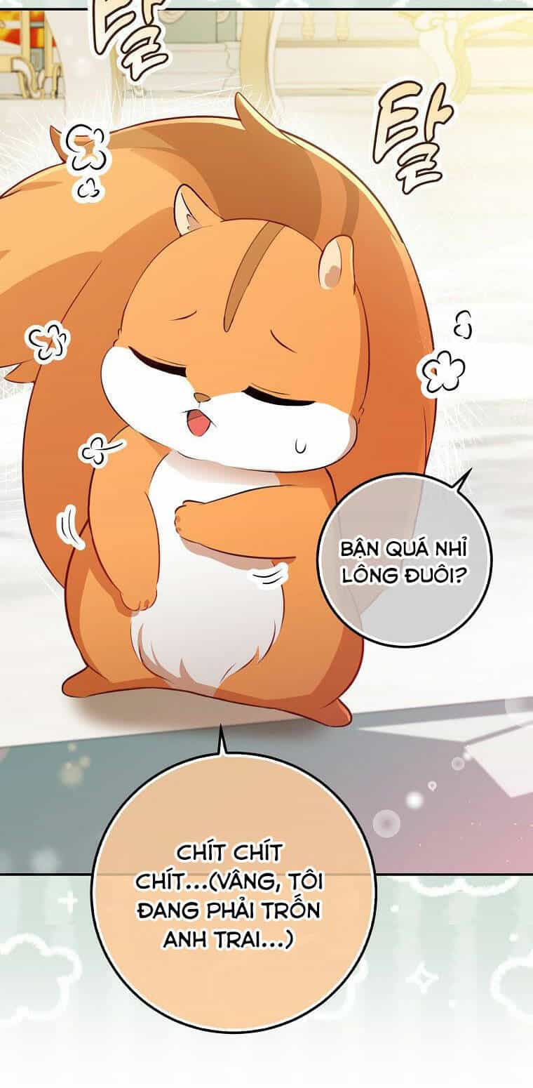 Sóc Nhỏ Tài Năng - Chương 52 - ảnh 44