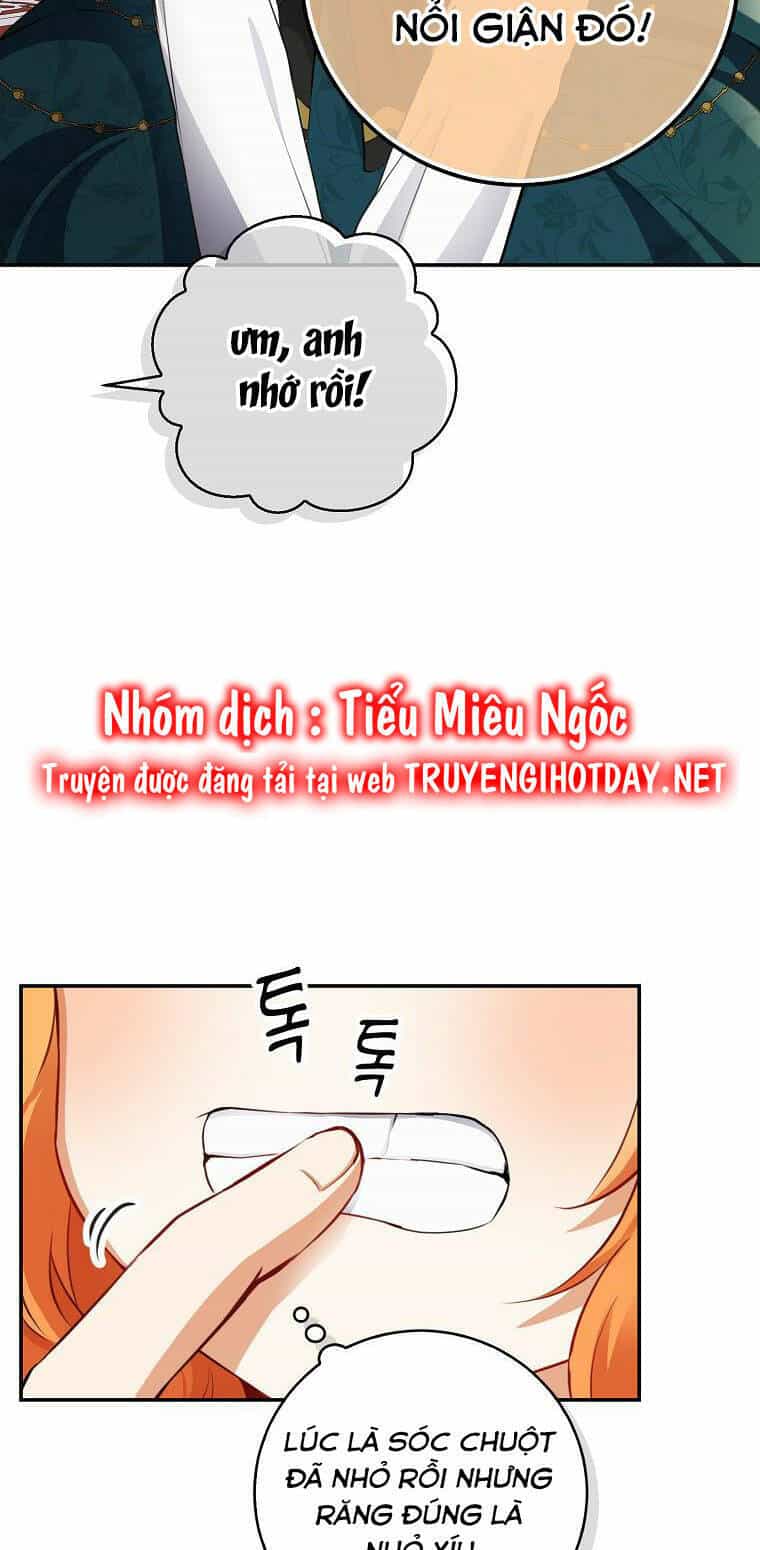 Sóc Nhỏ Tài Năng - Chương 52 - ảnh 71