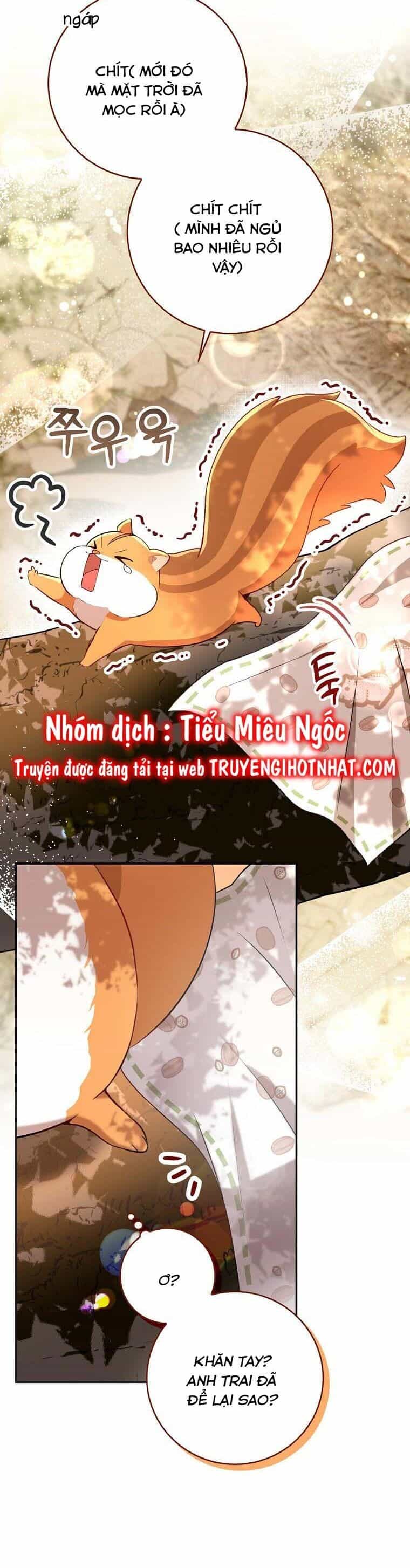 Sóc Nhỏ Tài Năng - Chương 53 - ảnh 42