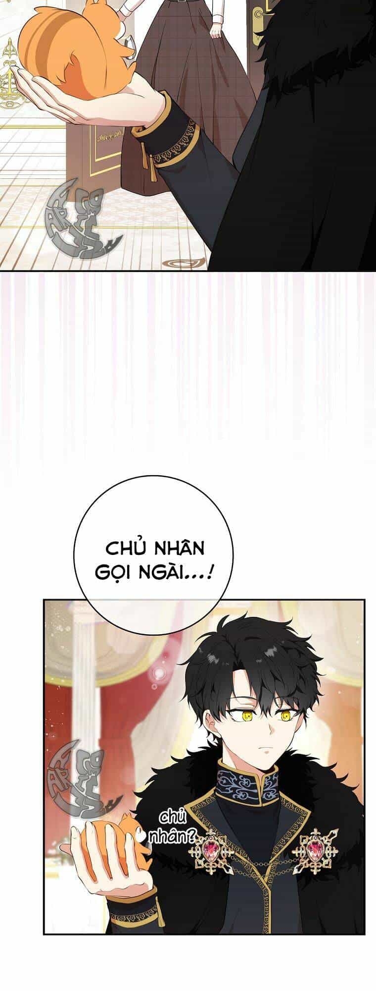Sóc Nhỏ Tài Năng - Chương 6 - ảnh 5