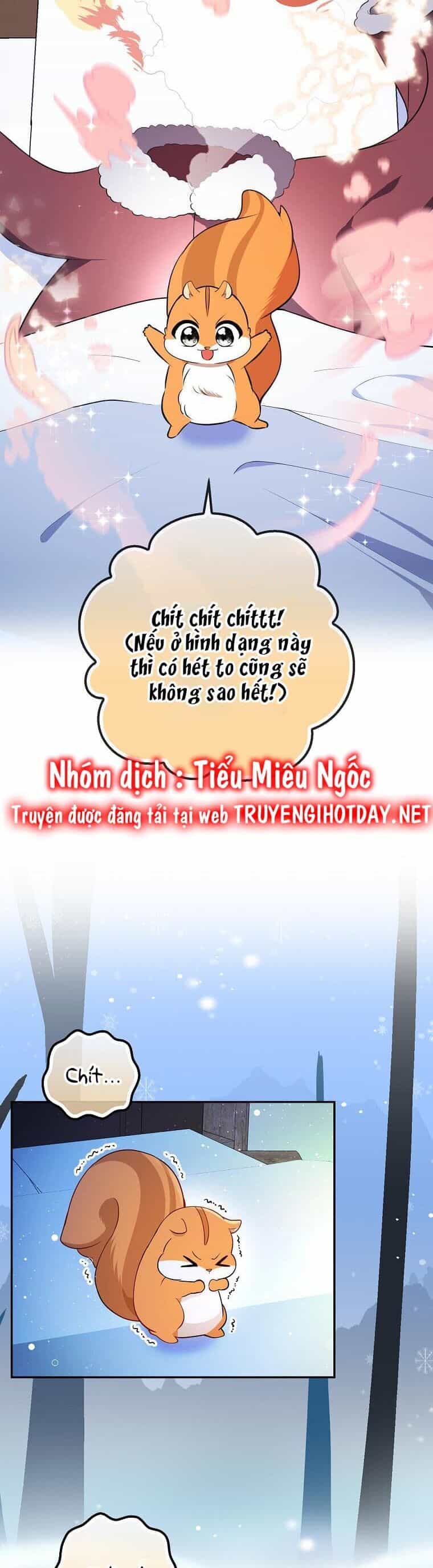 Sóc Nhỏ Tài Năng - Chương 61 - ảnh 32