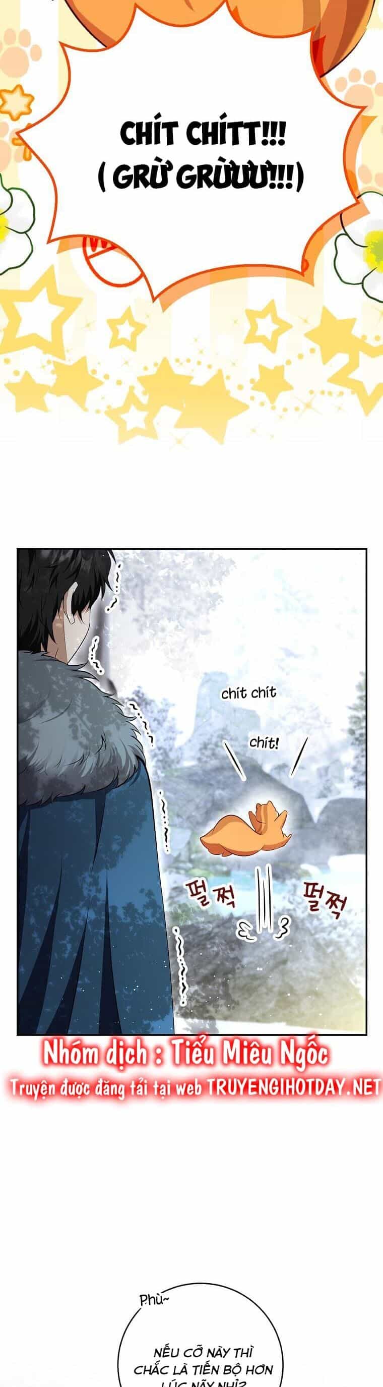 Sóc Nhỏ Tài Năng - Chương 61 - ảnh 48
