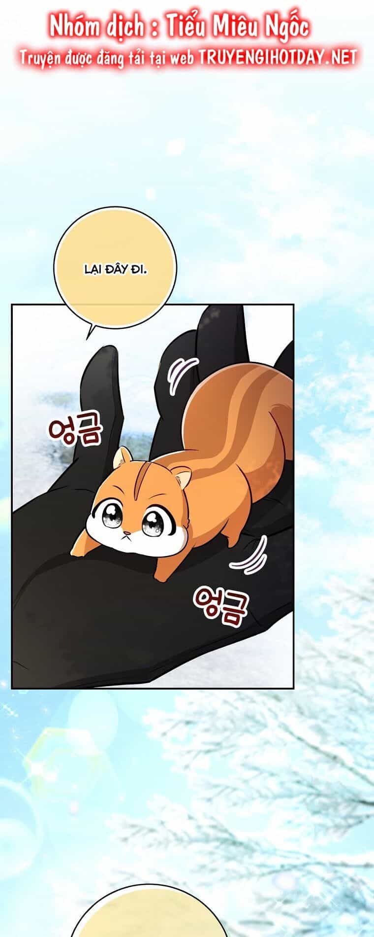 Sóc Nhỏ Tài Năng - Chương 62 - ảnh 28