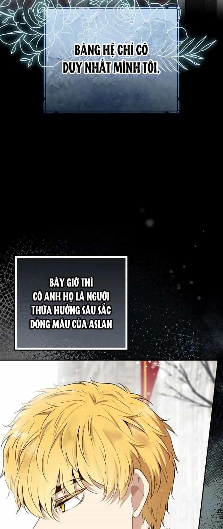 Sóc Nhỏ Tài Năng - Chương 64 - ảnh 18
