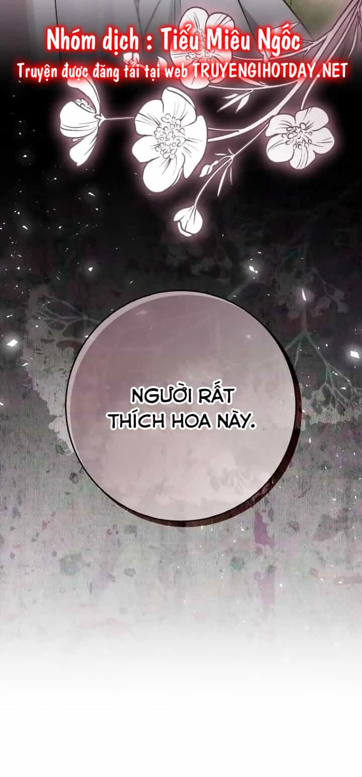 Sóc Nhỏ Tài Năng - Chương 64 - ảnh 82